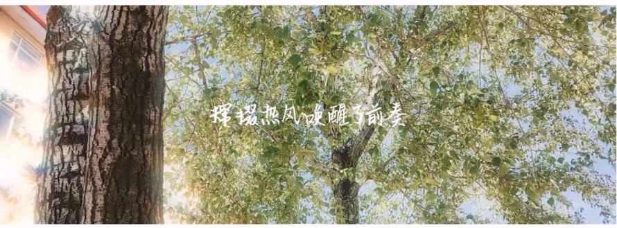 chbNuoHuang