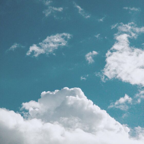 《关于我的生命》